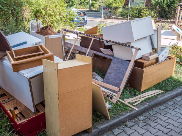 Best Basement Cleanout Services  in Detroit Beach, MI