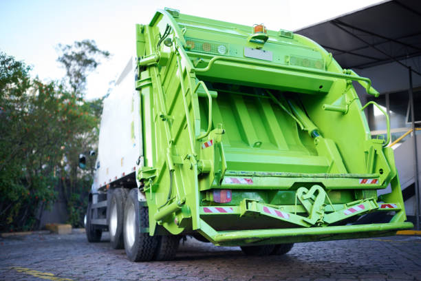 Debris Removal in Detroit Beach, MI